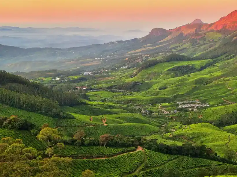Sunrise over Munnar's green tea hills