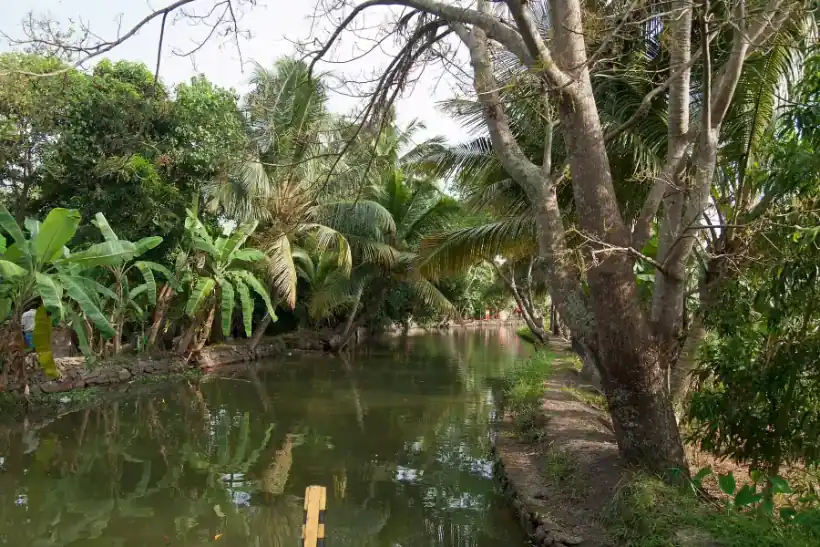 Alappuzha backwaters